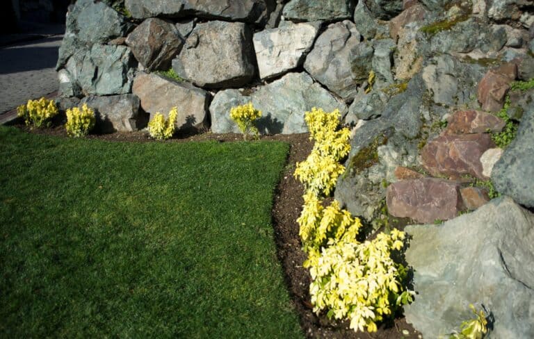 hardscapes