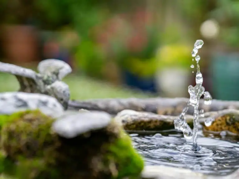 water feature