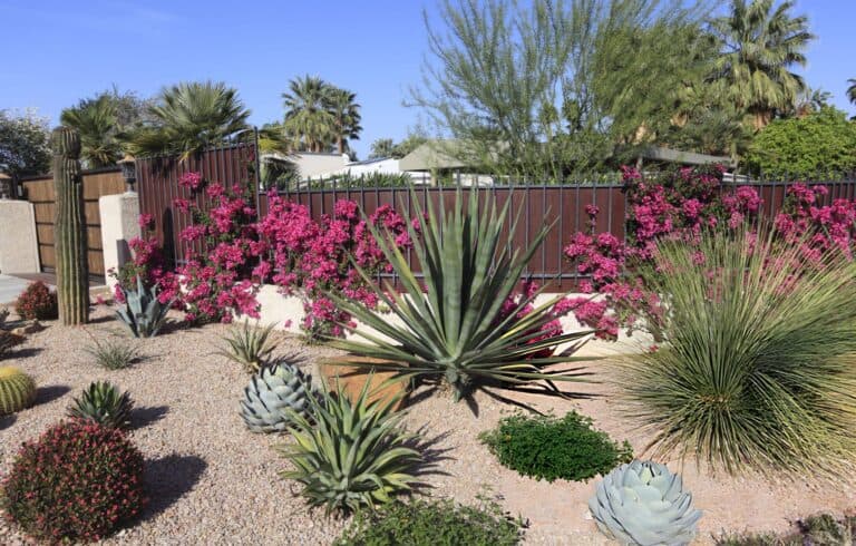 landscape design plants