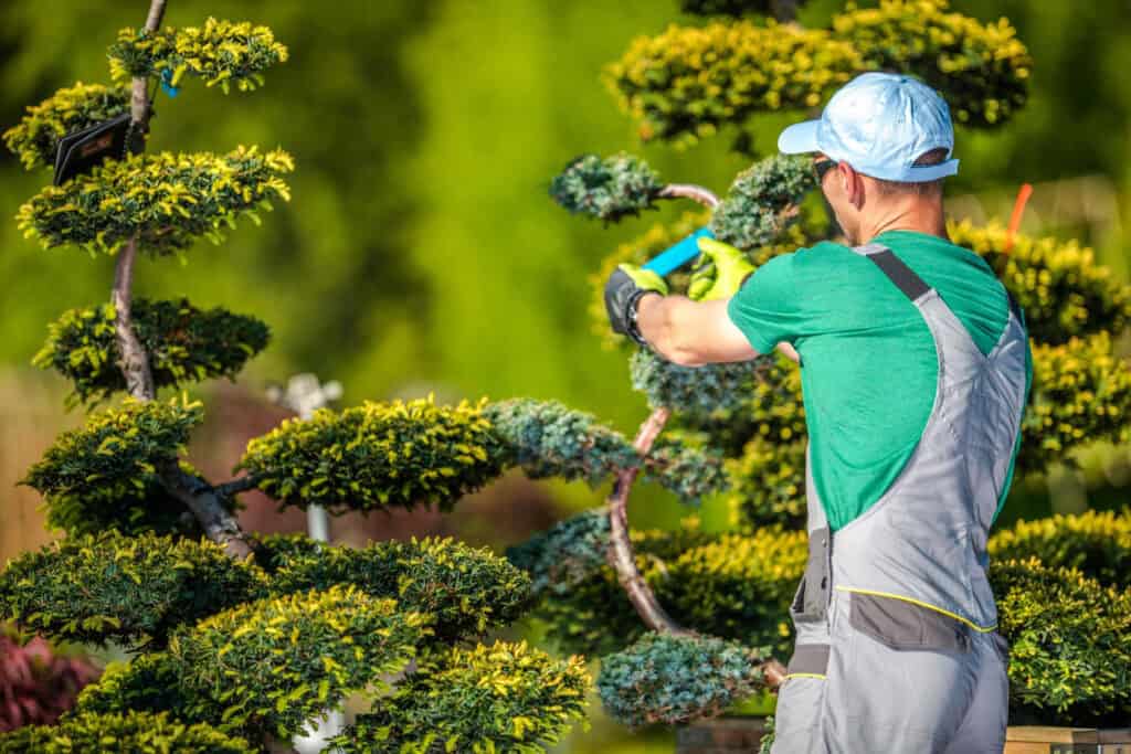 Landscaping Services