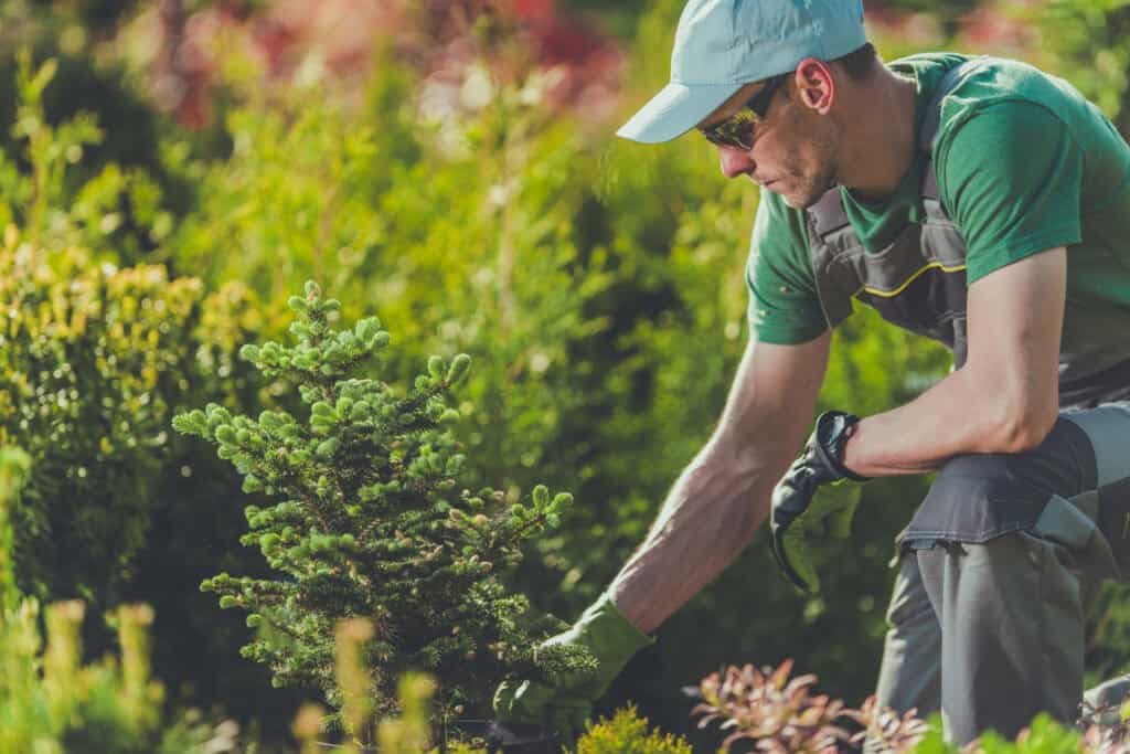 Landscaping Services
