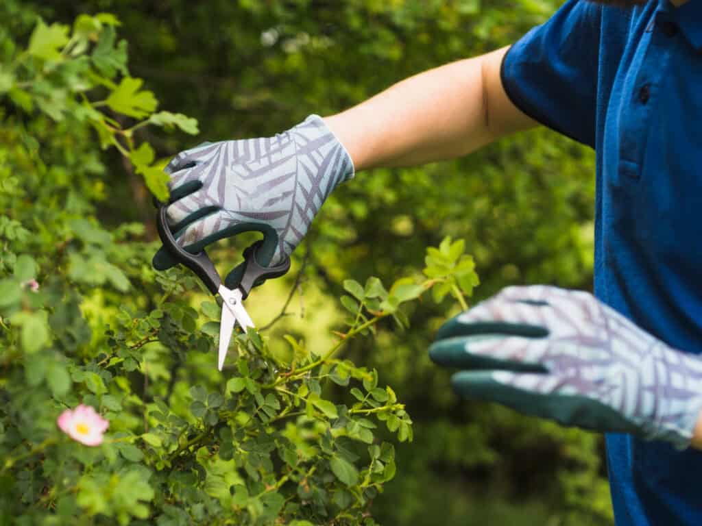 Landscaping Services