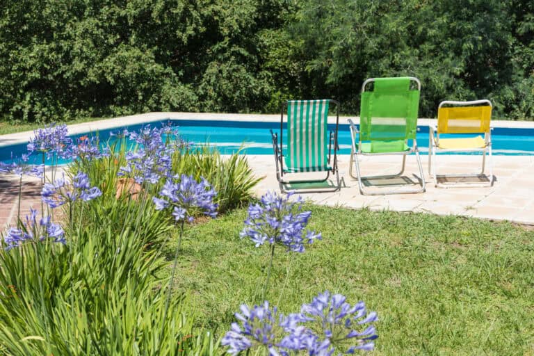 pool landscaping
