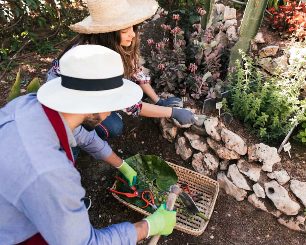 Landscaping Services