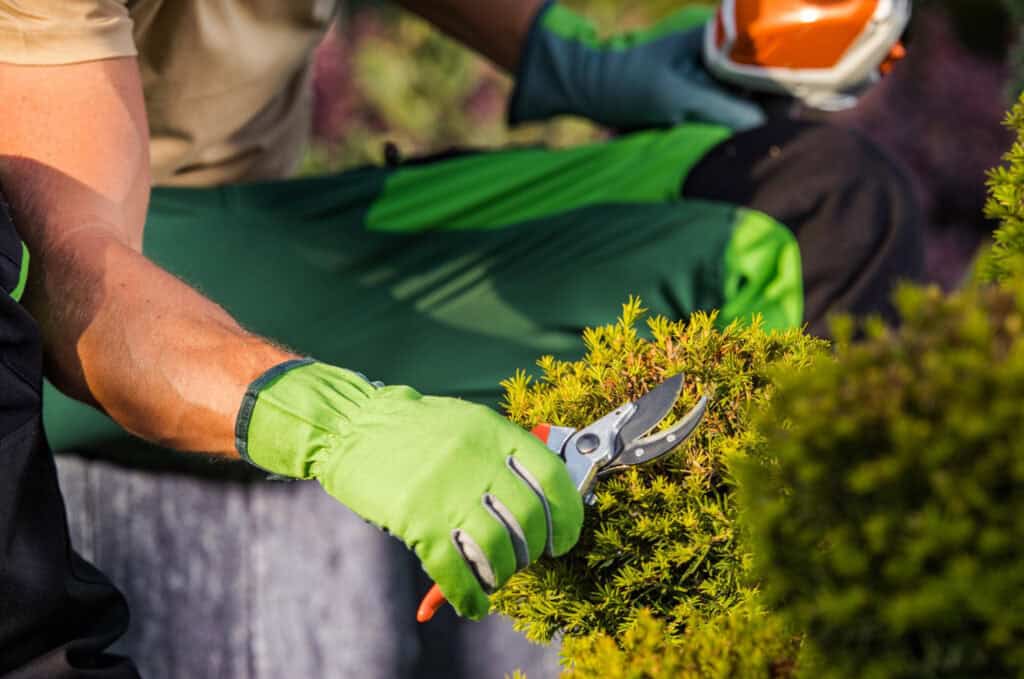 Landscaping Services