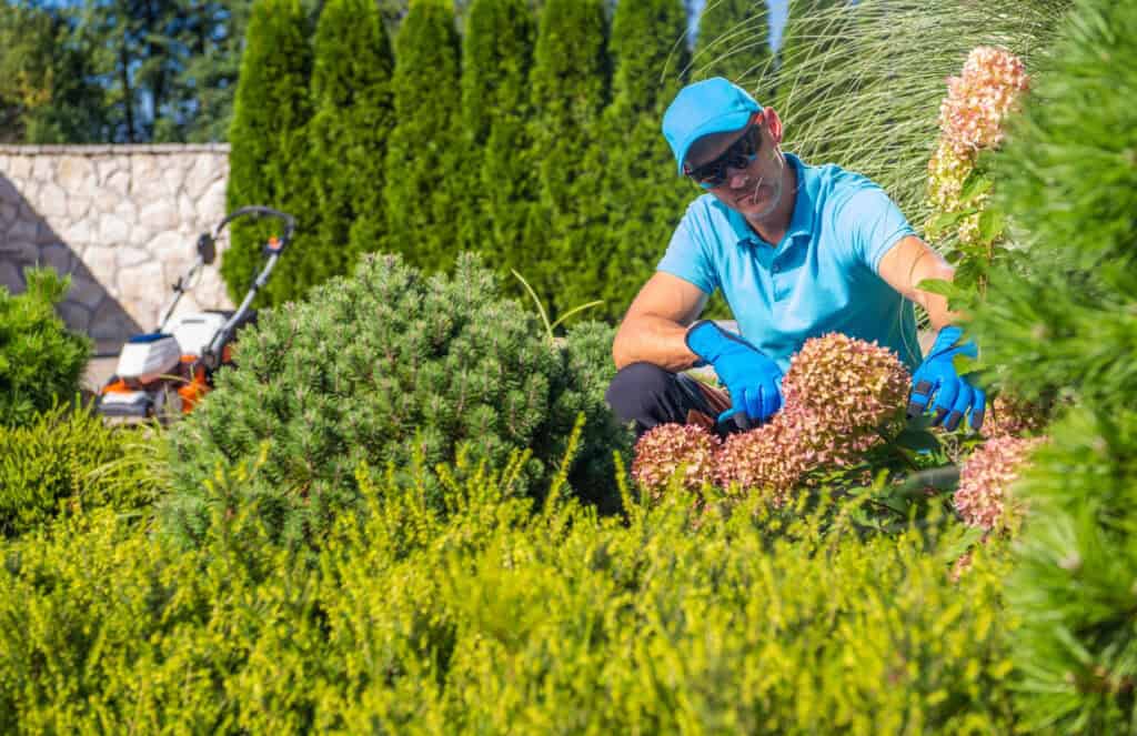 Landscaping Services