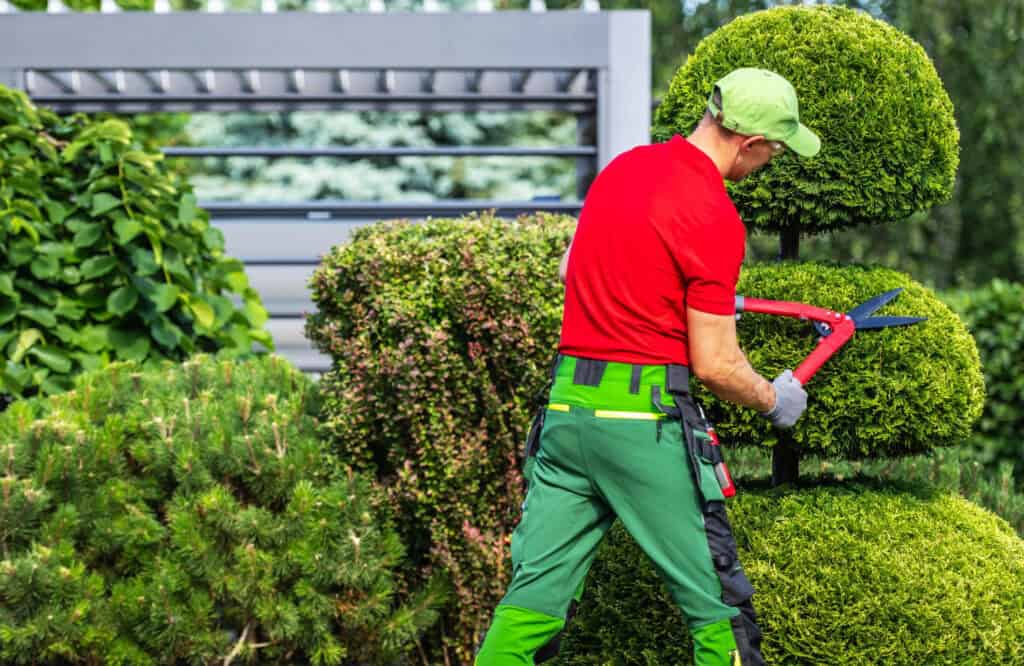 Landscaping Services