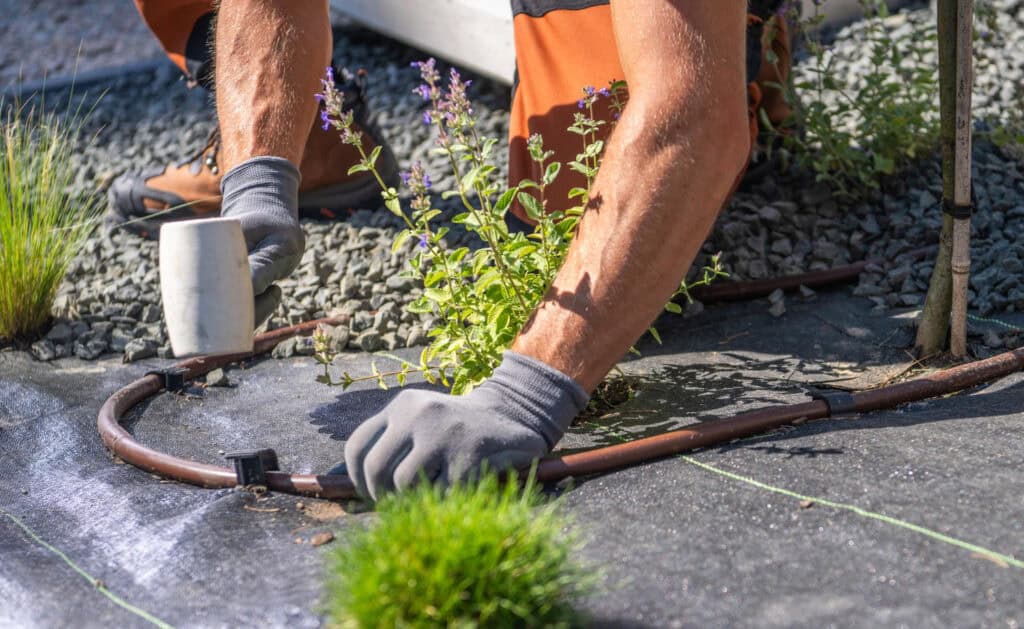 Irrigation Services