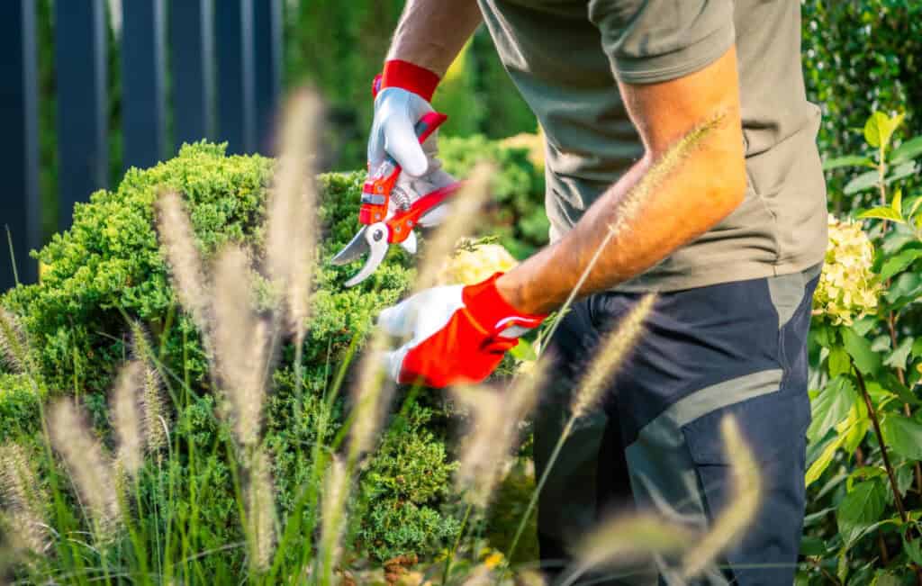 Landscaping Services