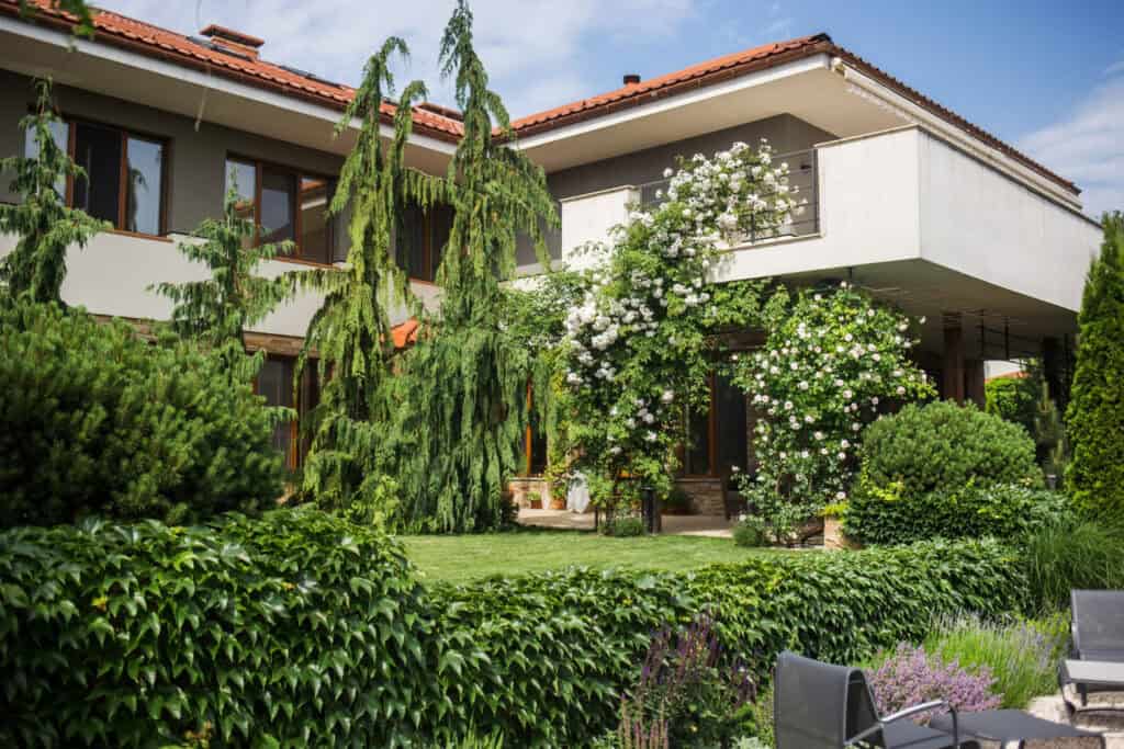 trees and shrubs