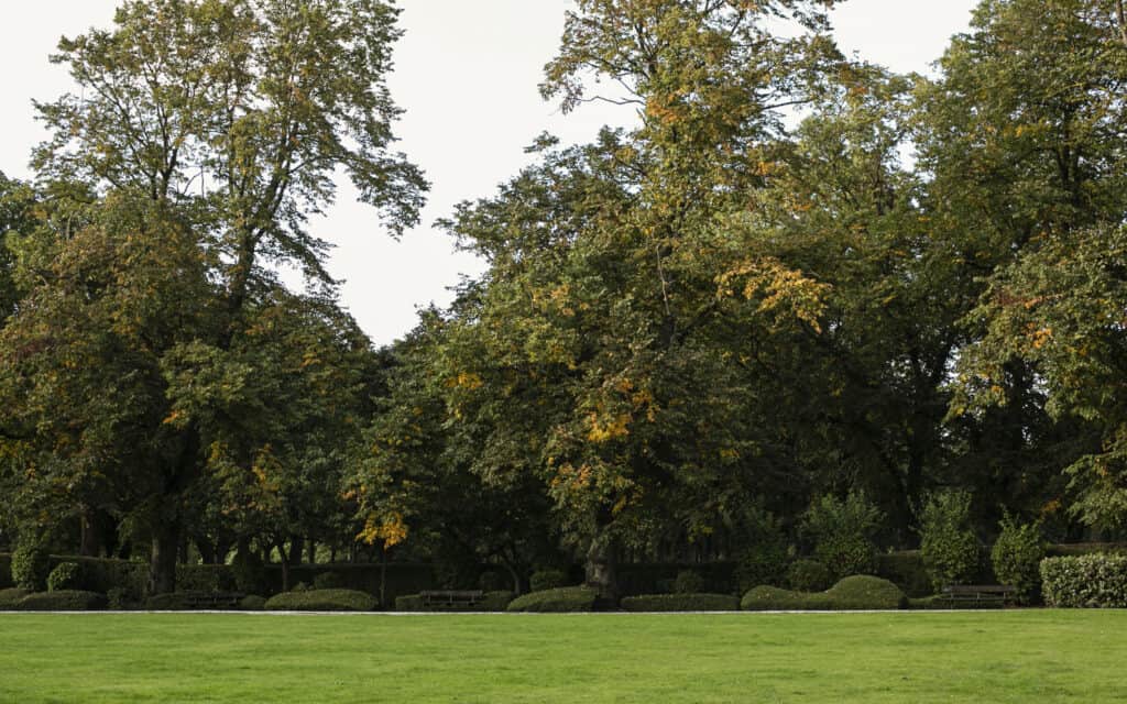 home tree