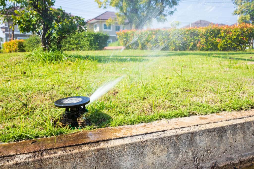 irrigation