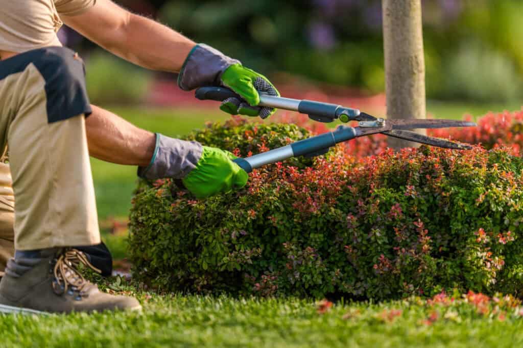 Landscaping Services