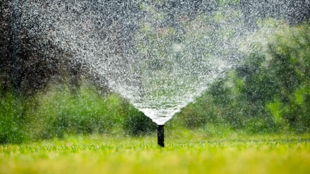 Irrigation Services