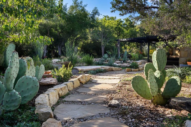 summer desert garden
