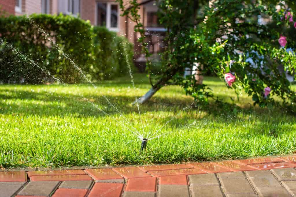 Irrigation Services