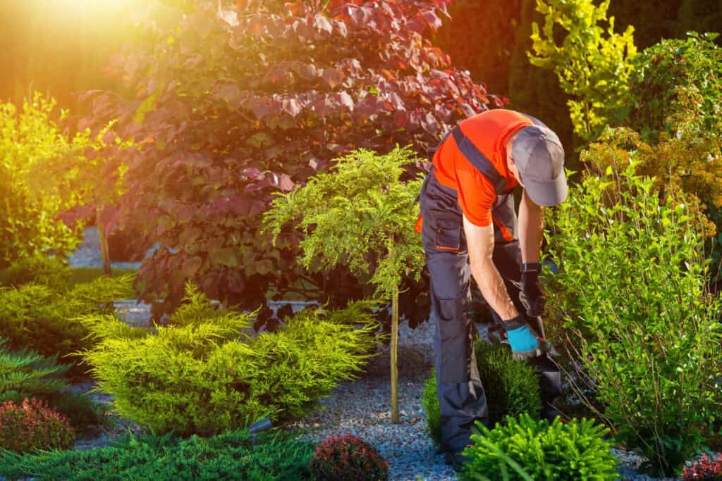 Lawn care specialist working in a lush garden in Ahwatukee.