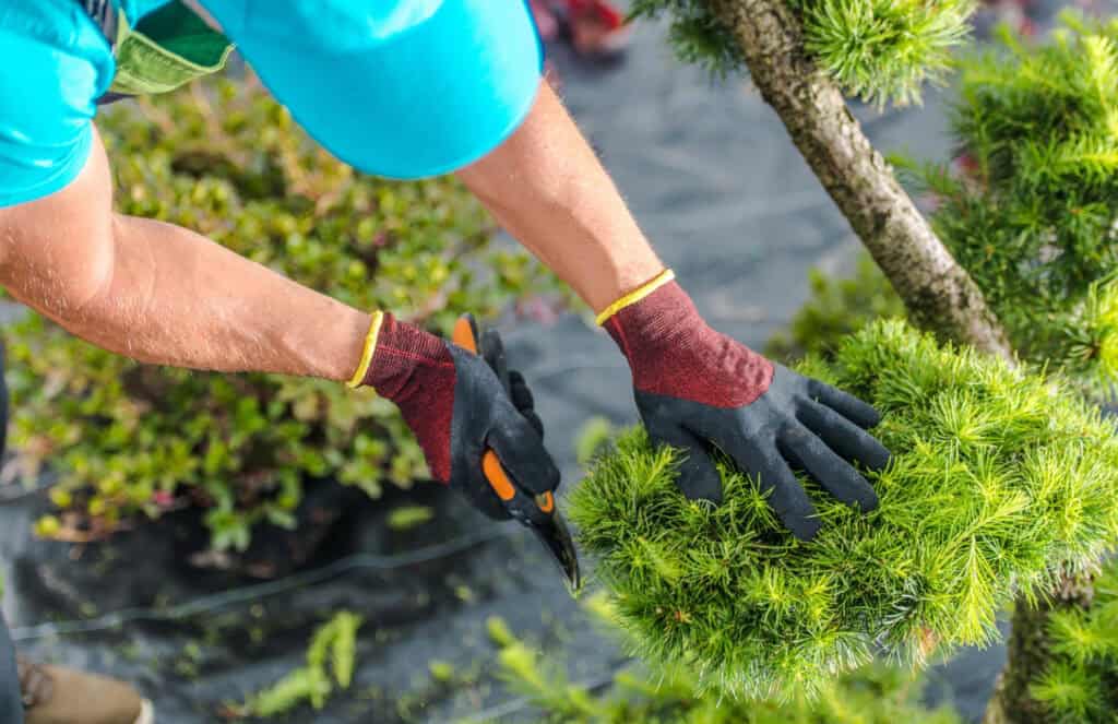 Landscaping Services