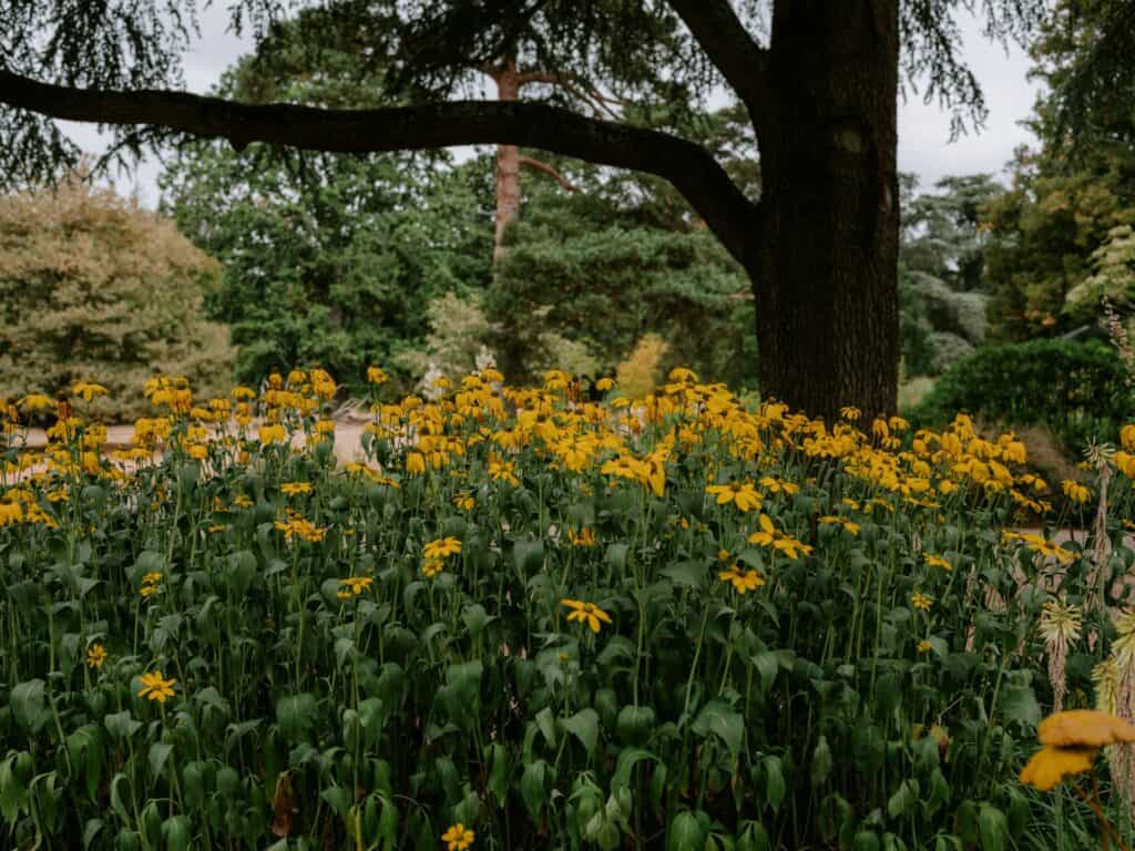 Landscaping Design