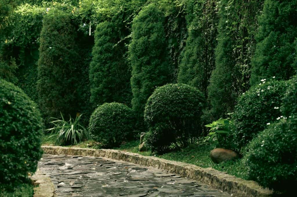 Landscaping Design