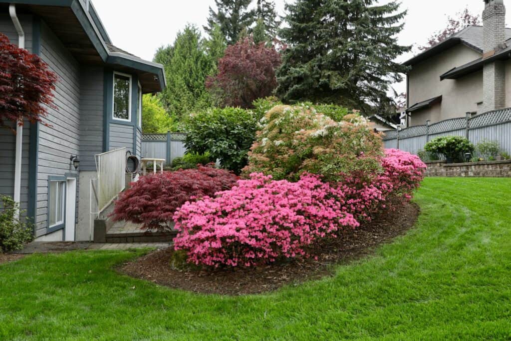Landscaping Services