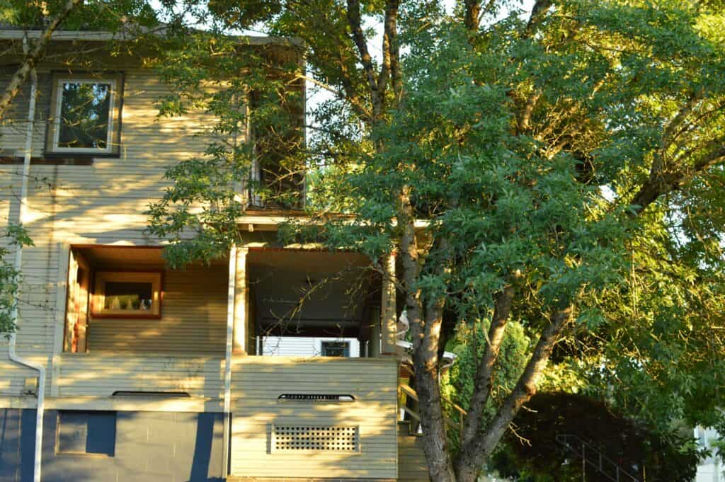 home trees