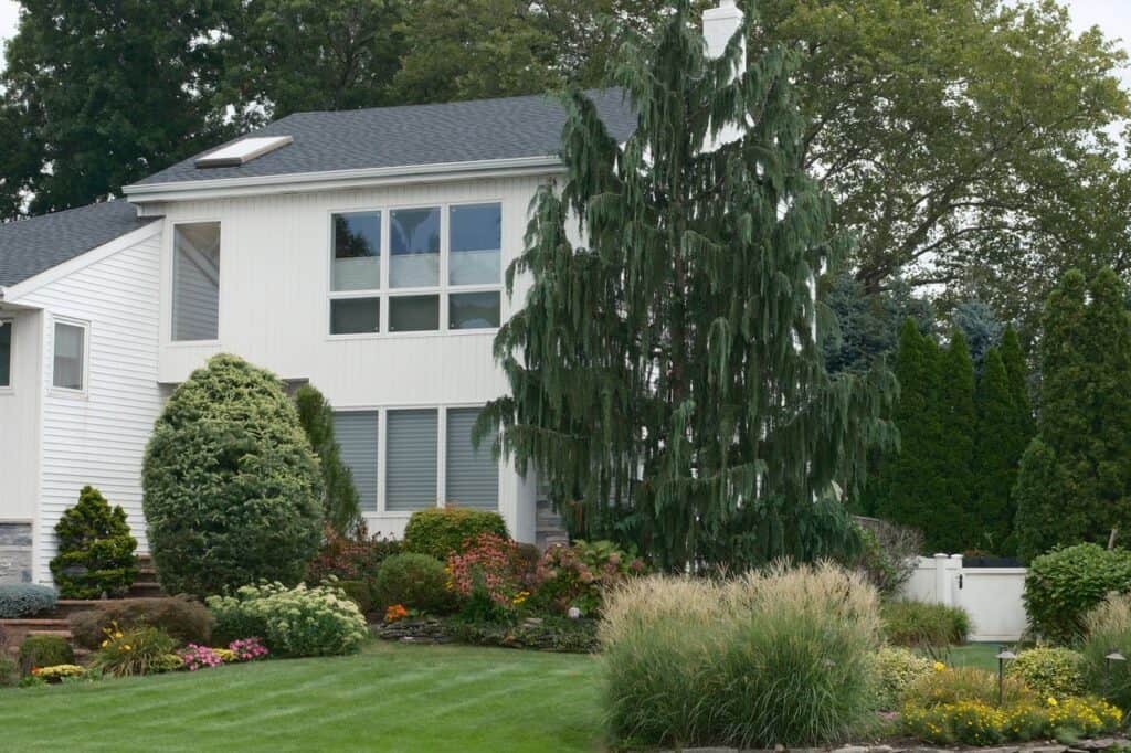 Landscaping Design